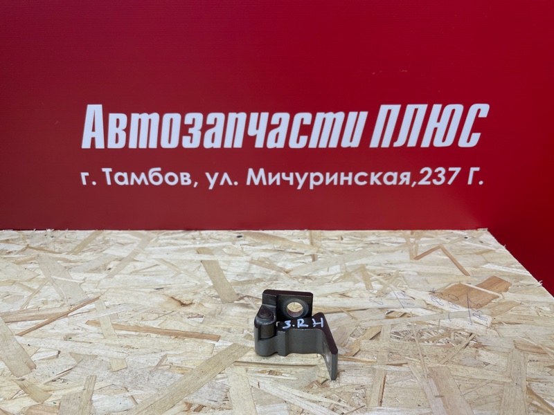 Петля     двери