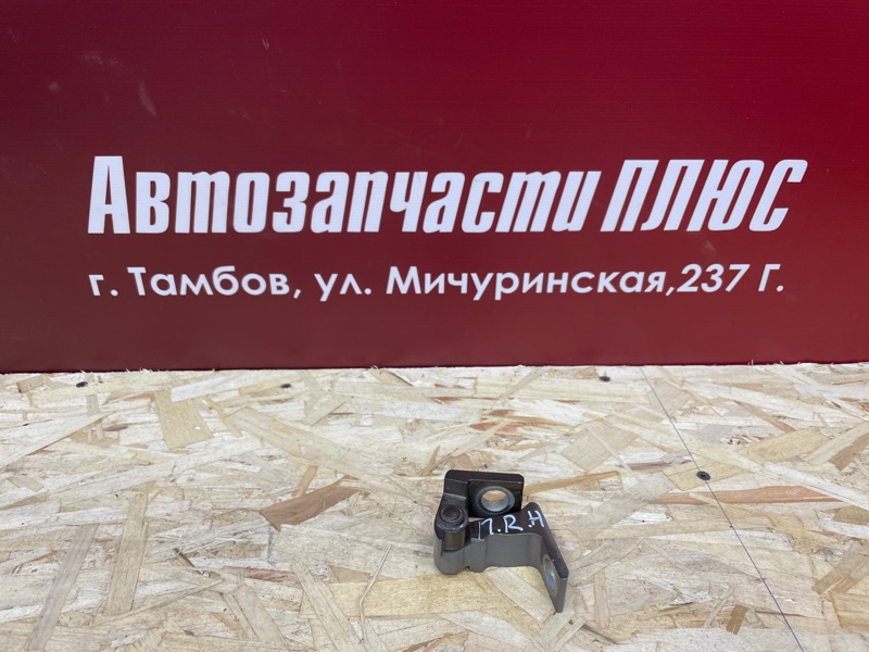 Петля     двери