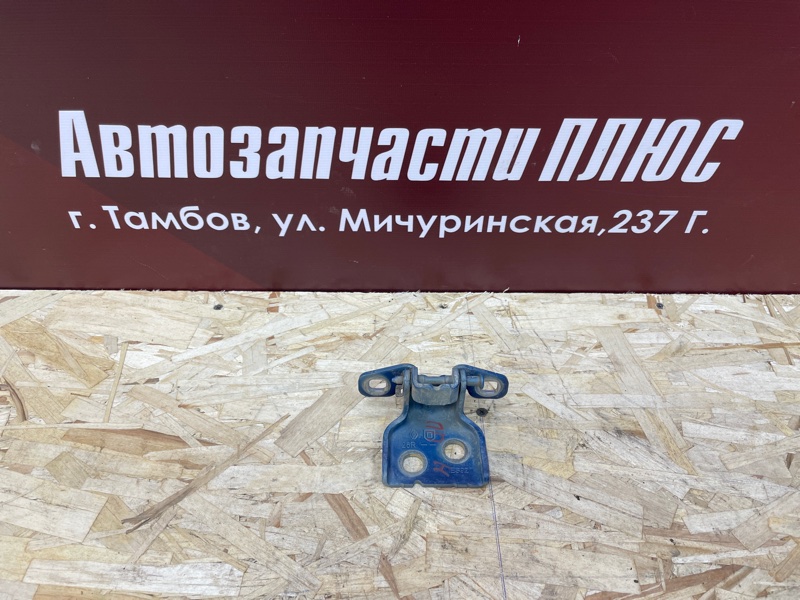 Петля двери