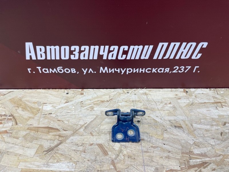 Петля двери