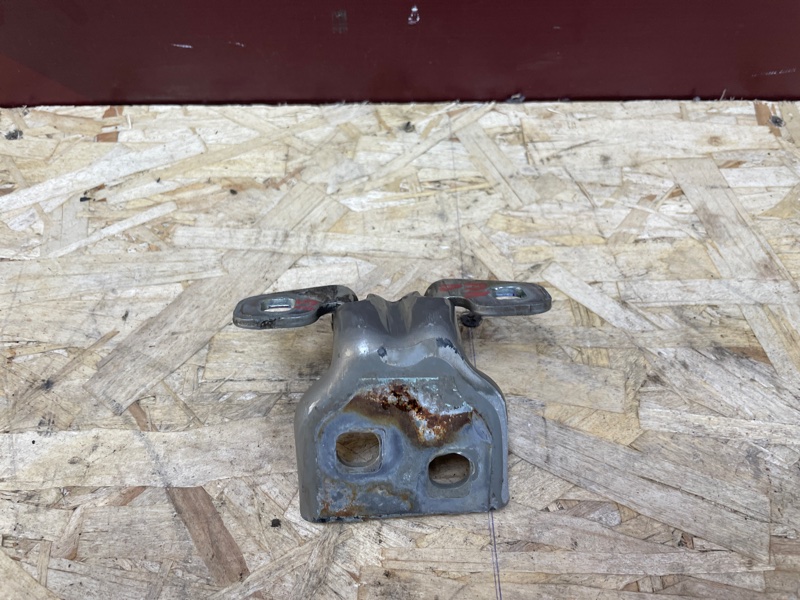 Петля двери