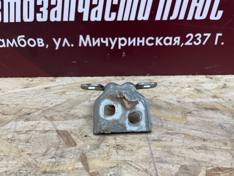 Петля двери