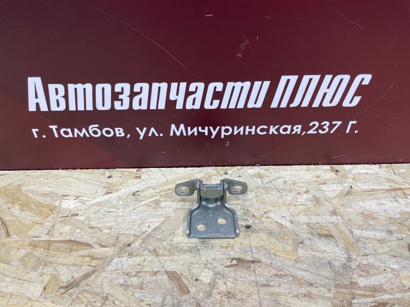 Петля     двери