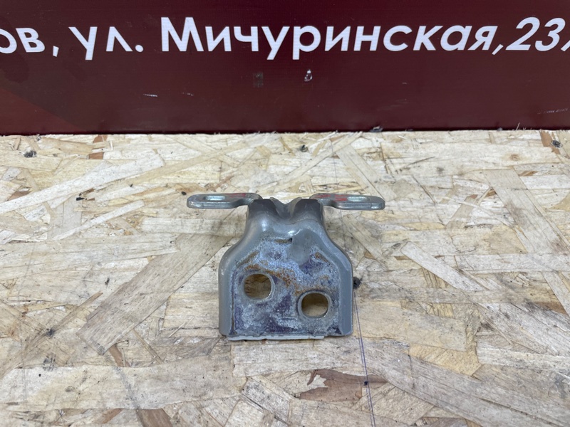 Петля     двери