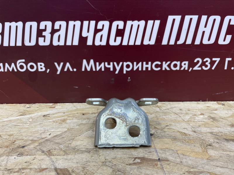 Петля     двери