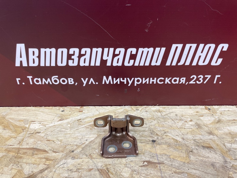 Петля двери