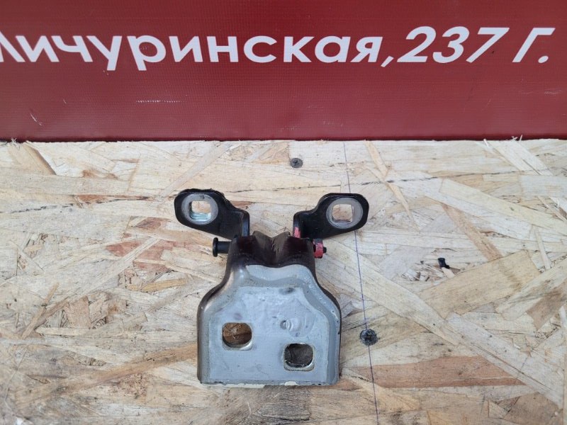 Петля двери