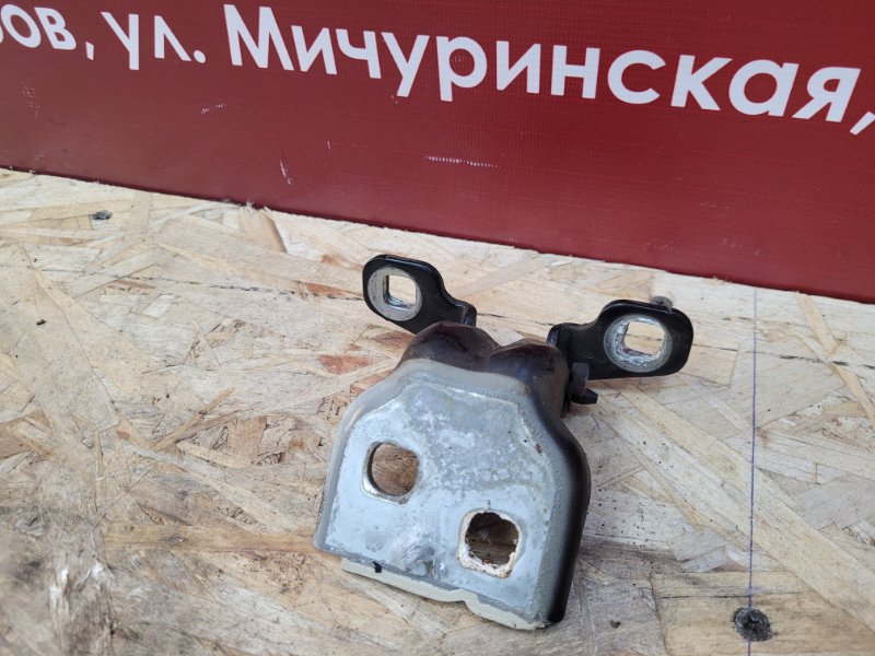 Петля двери