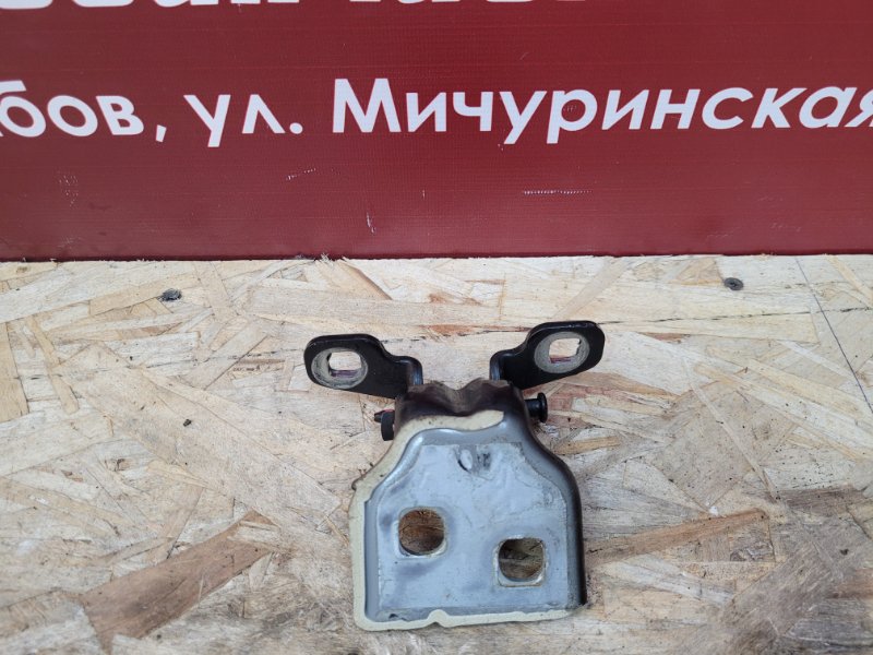 Петля двери