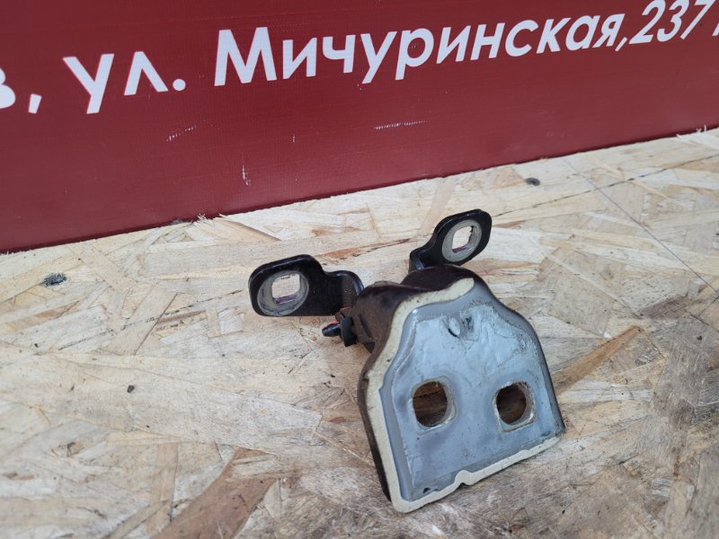 Петля двери