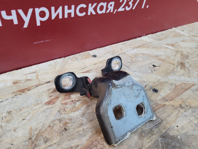 Петля двери