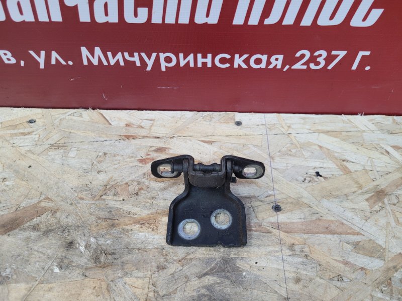 Петля     двери