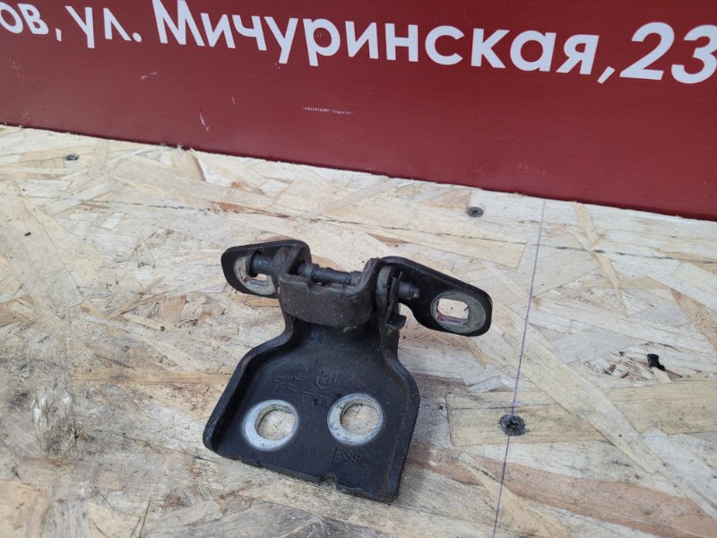 Петля     двери