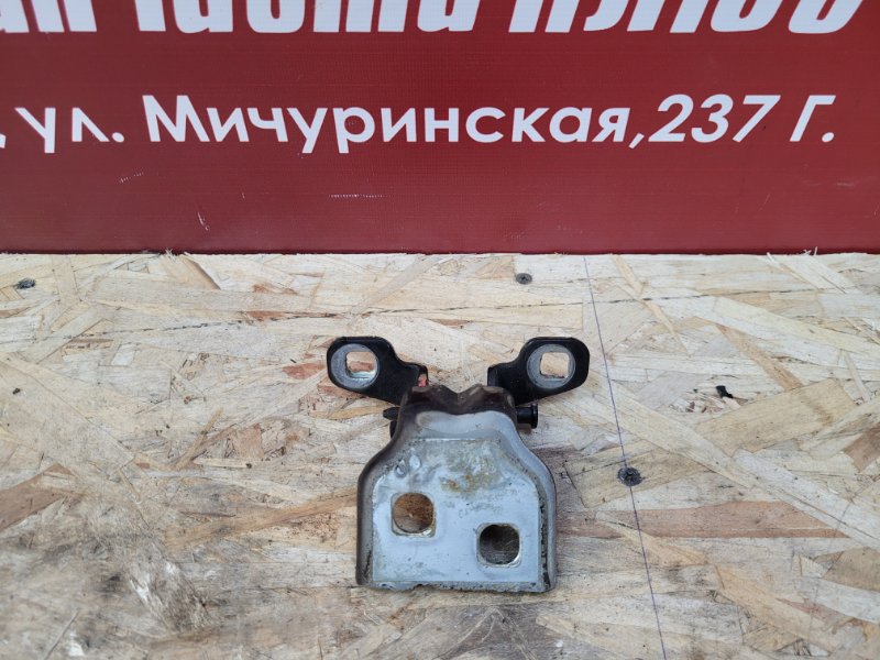 Петля     двери