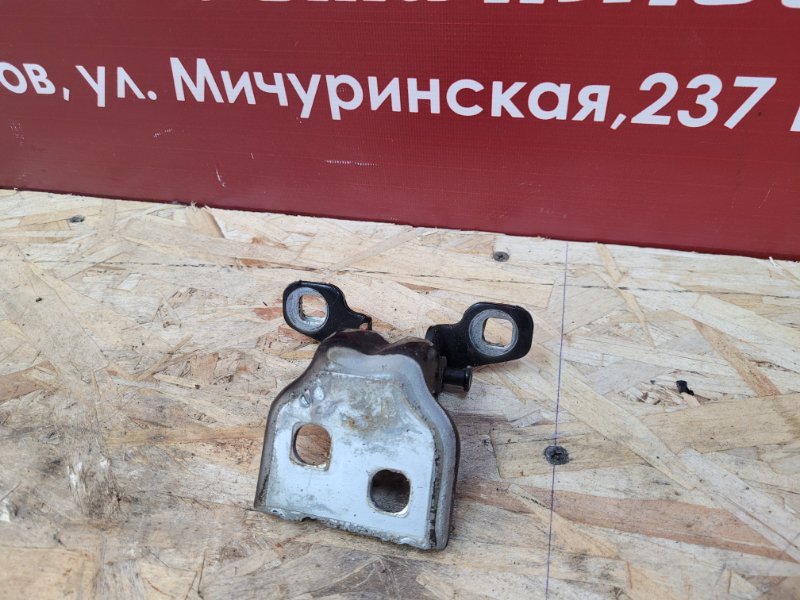 Петля     двери