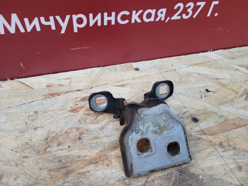 Петля     двери