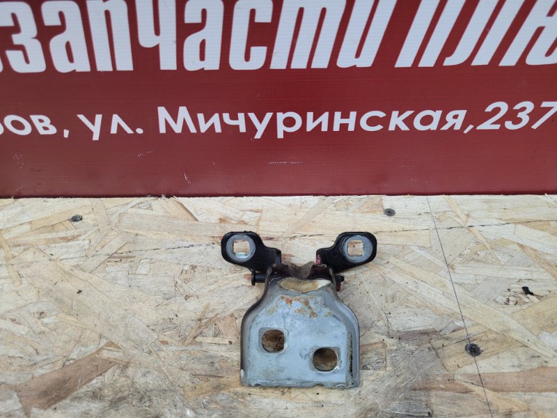 Петля двери