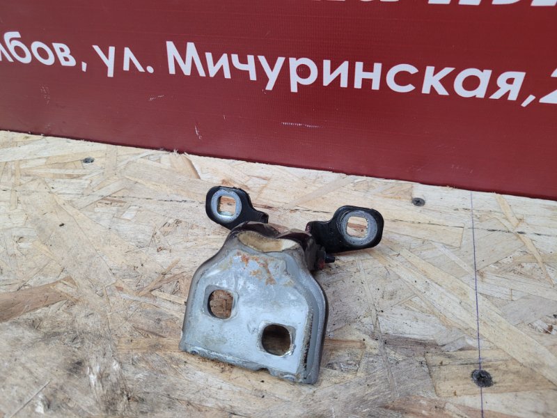 Петля двери