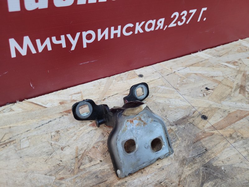 Петля двери