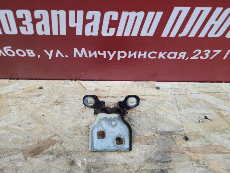 Петля двери