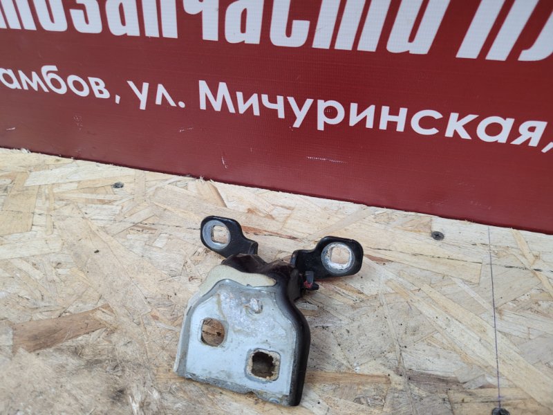 Петля двери