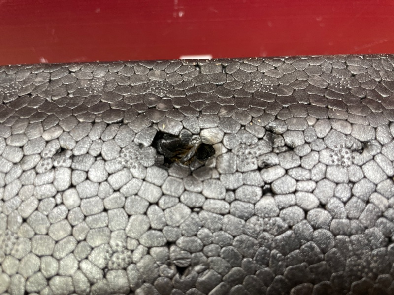 Абсорбер   бампера