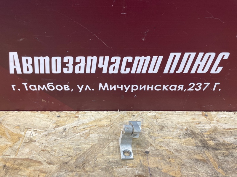 Петля двери