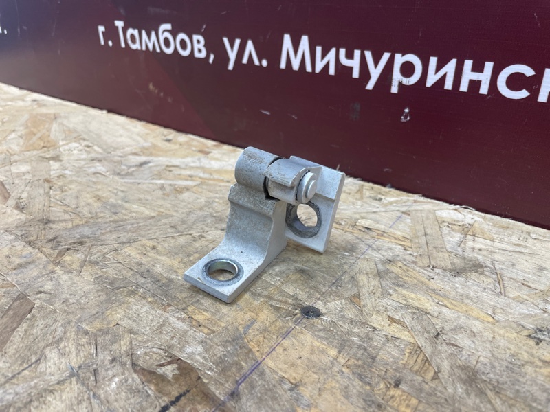 Петля двери