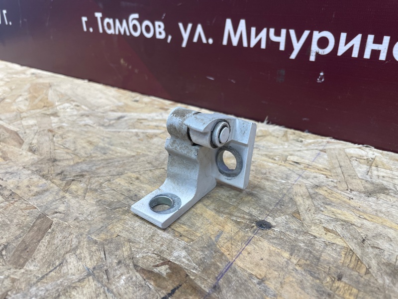 Петля двери