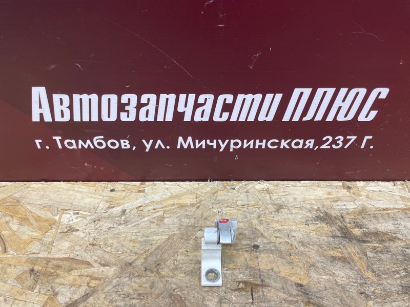 Петля     двери