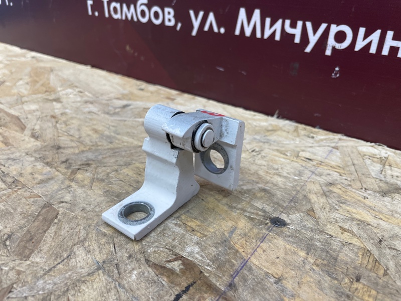 Петля     двери