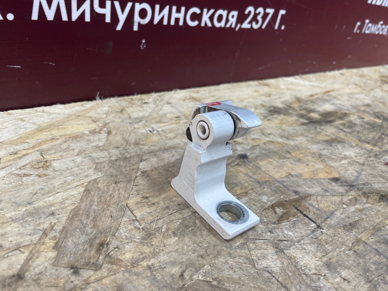 Петля     двери