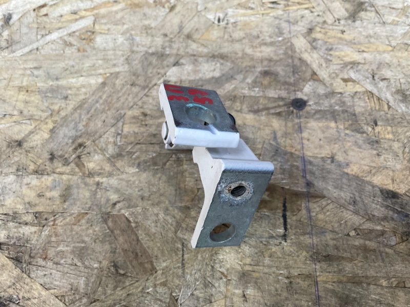 Петля     двери