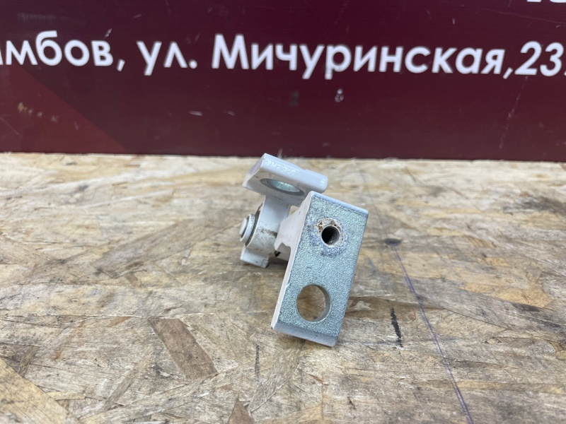 Петля     двери