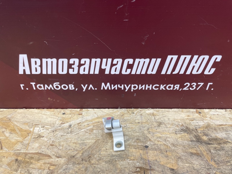 Петля двери