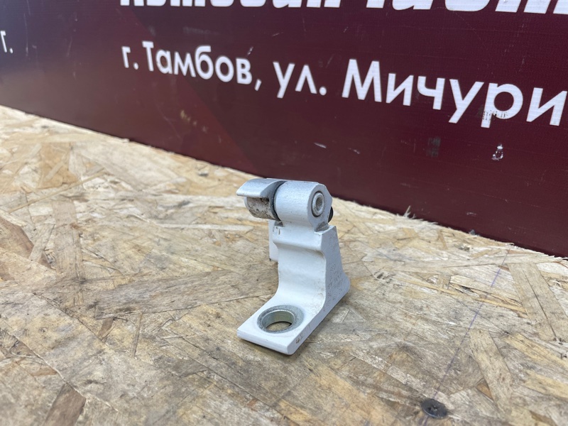 Петля двери