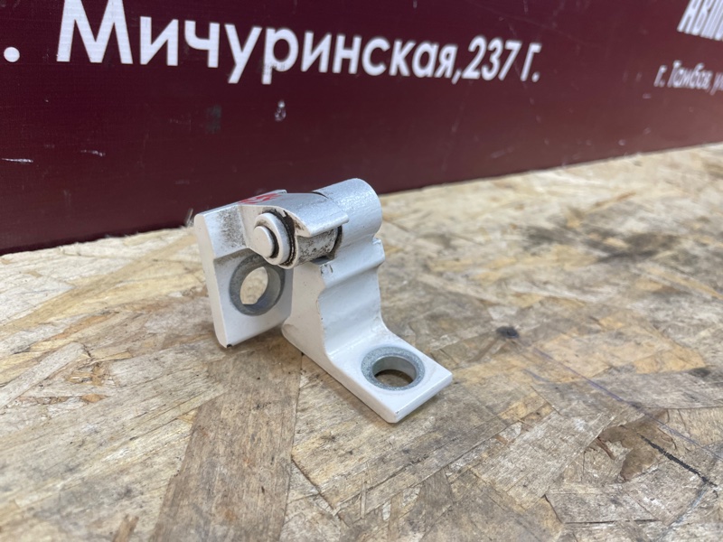 Петля двери