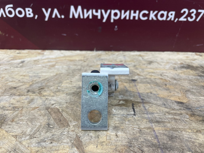 Петля двери