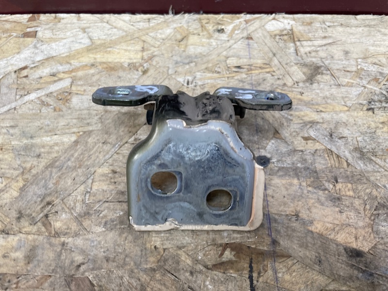 Петля двери