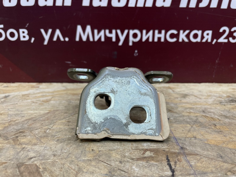 Петля двери