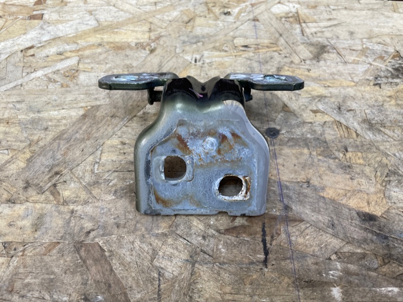 Петля двери