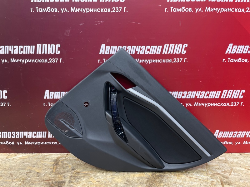 Обшивка боковой двери