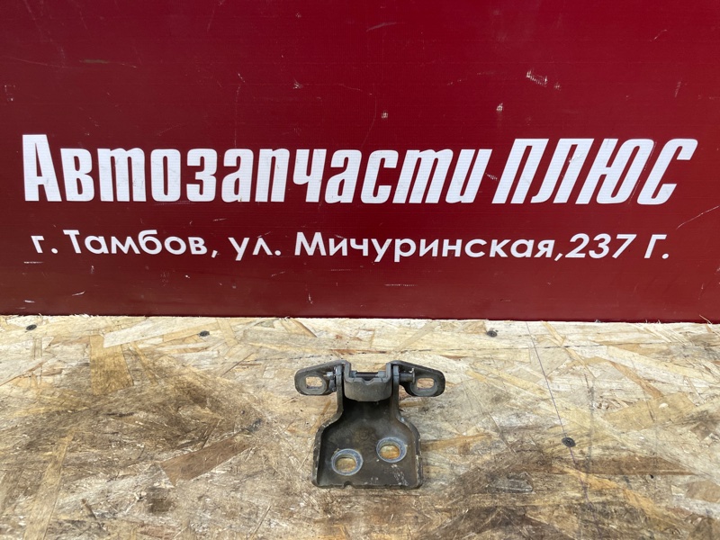 Петля двери