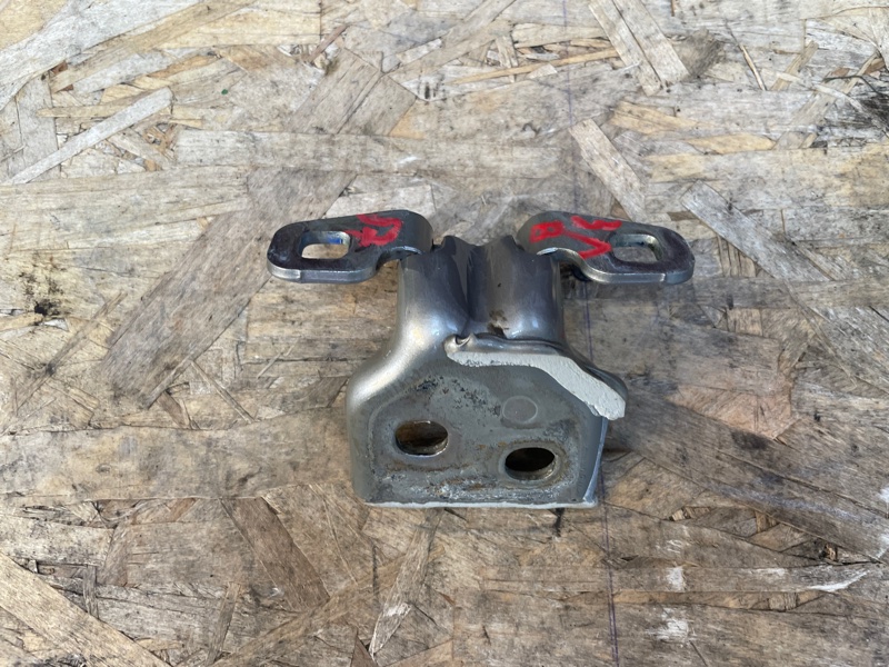 Петля двери