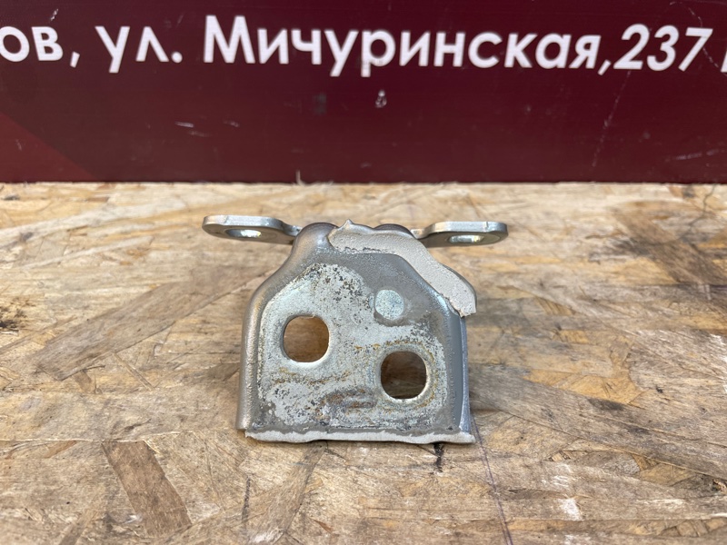 Петля двери