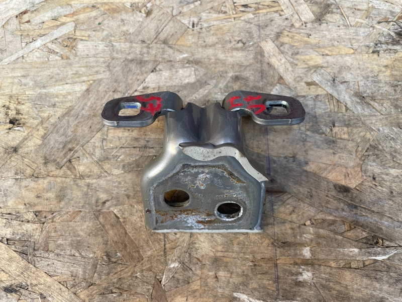 Петля двери