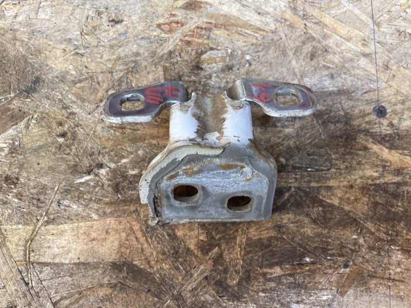 Петля двери