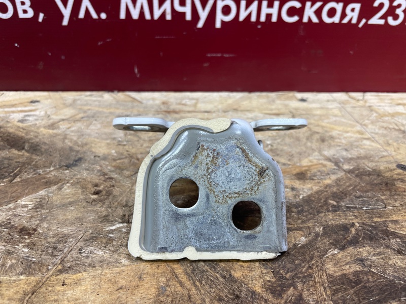 Петля двери