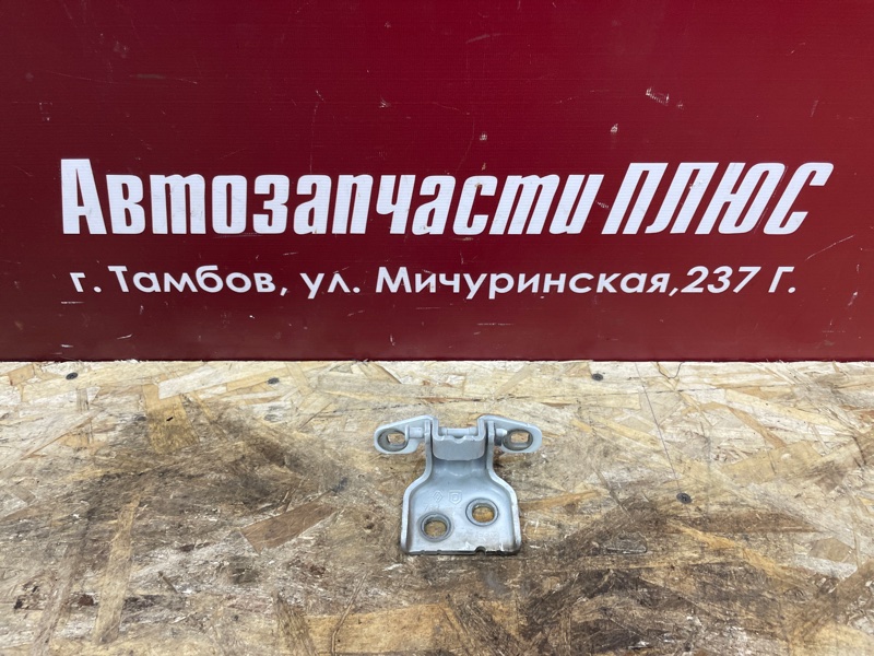 Петля двери