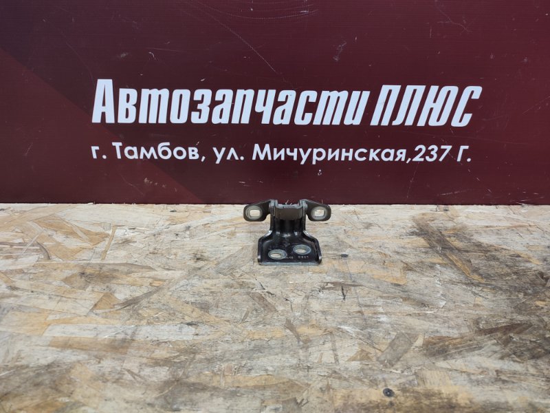 Петля     двери